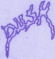 logo Dusk (FRA)
